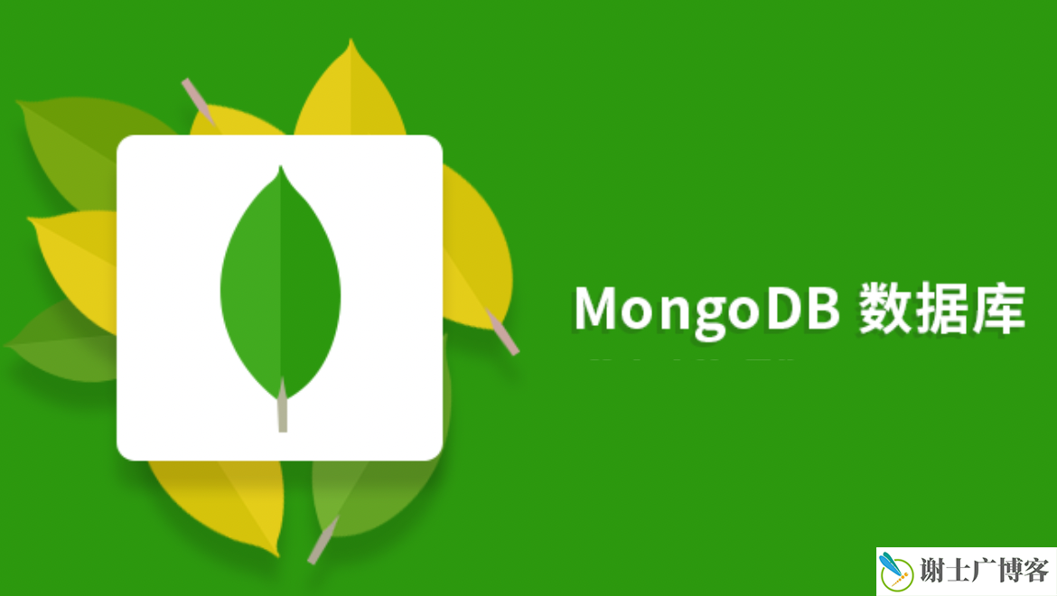 选对MongoDB客户端：从初学者到专业级，NineData的全覆盖解决方案