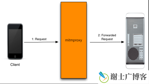 mitemproxy 的安装与使用 （windows）